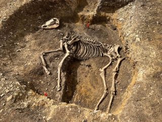 Roman Villa Excavation