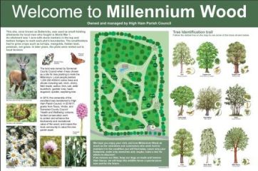 High Ham Millennium Wood Information Lectern