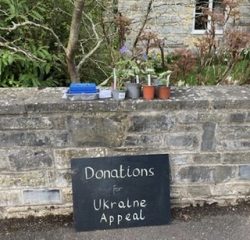 Plants for sale – in aid of Red Cross Ukraine Appeal