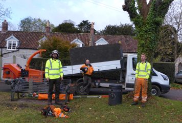 Parish Lengthsman Craig Howe and his team - the pollarding of the trees on The Green November 2020