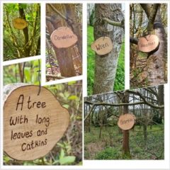 20 Lost Words plaques installed in Millennium Wood April ‘23 - Made by Rachael Howe, member of HH Parish Lengthsman Team