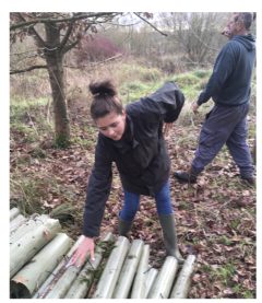 December ‘19 Millennium Wood redundant tree guards collected for further use. 