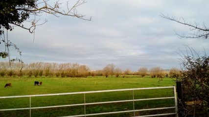 View across the fields from Henley 10.01.20
