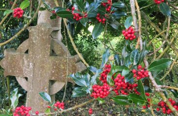 St Andrew’s churchyard December 2020 photo - David Reid