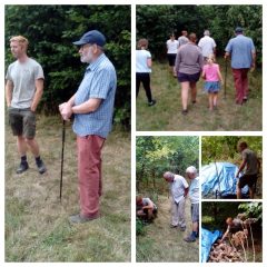 Millennium Wood August site meeting of management group