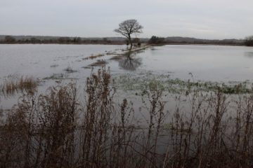 Floods near Nythe Bridge