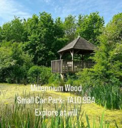 Millennium Woos is in Top 15 Woodland Somerset/Devon woodland walks
