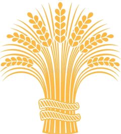 HARVEST Thanksgiving St Andrew’s Church