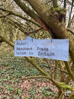 New set of Lost Words plaques installed in Millennium Wood
