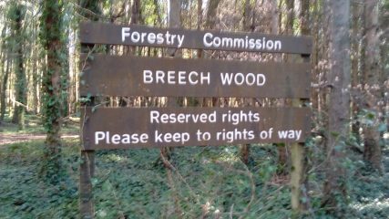Breech Wood - Wood Lane entrance non-firing day 25.02.18 